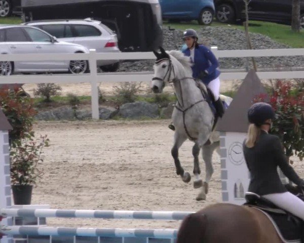 Reitturnier St. Margarethen 2022