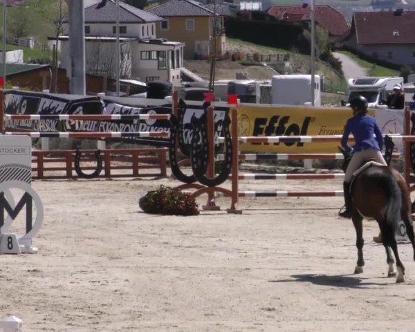 Reitturnier St. Margarethen 2022