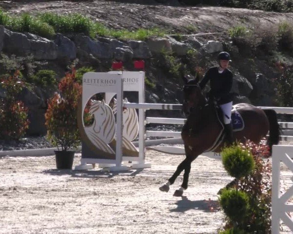 Reitturnier St. Margarethen 2022