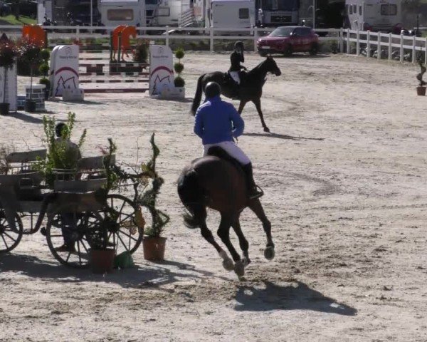 Reitturnier St. Margarethen 2022