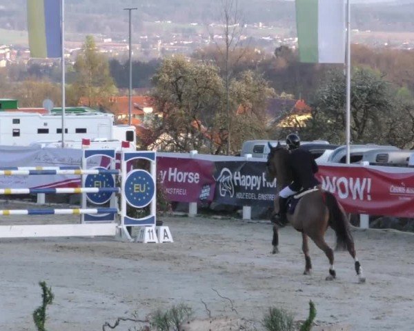 Reitturnier St. Margarethen 2022