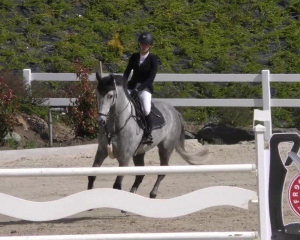 Reitturnier St. Margarethen 2022
