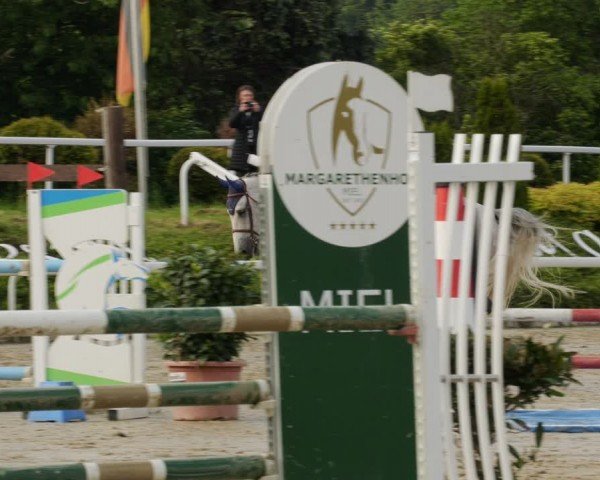 Reitturnier Bornheim-Widdig 2024