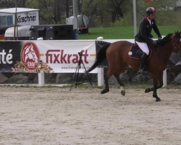 Reitturnier St. Margarethen 2022