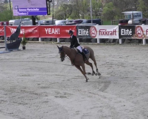 Reitturnier St. Margarethen 2022