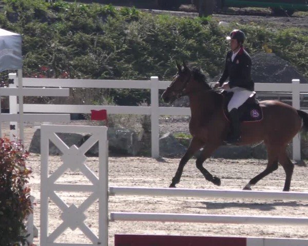 Reitturnier St. Margarethen 2022