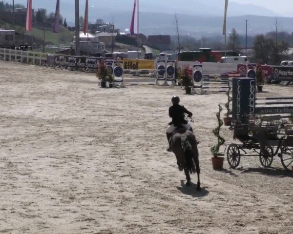 Reitturnier St. Margarethen 2022