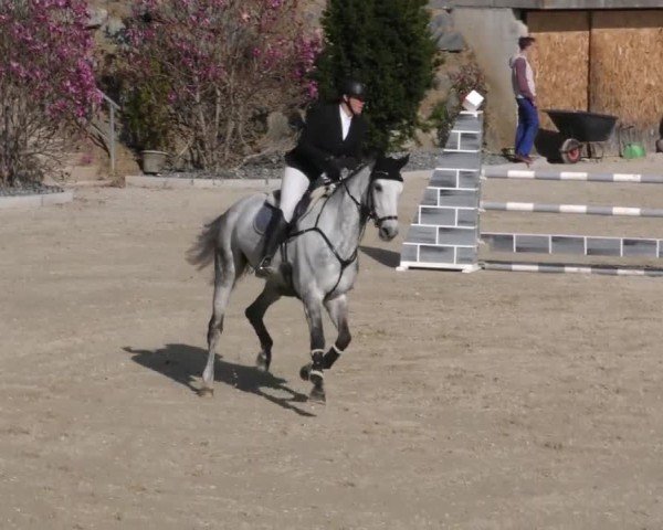 Reitturnier St. Margarethen 2022