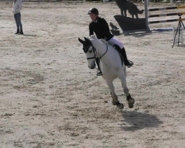 Reitturnier St. Margarethen 2022