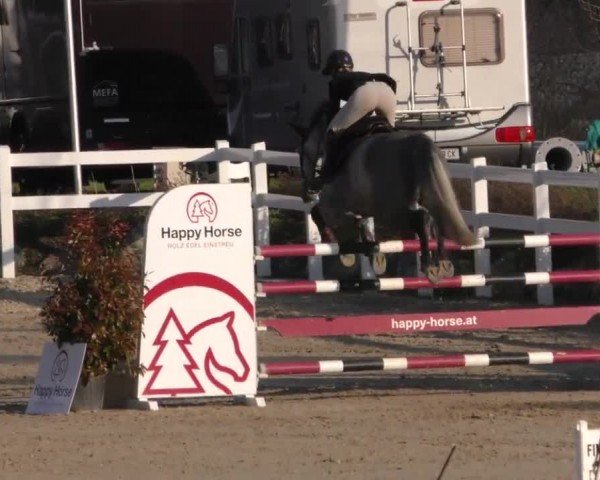Reitturnier St. Margarethen 2022