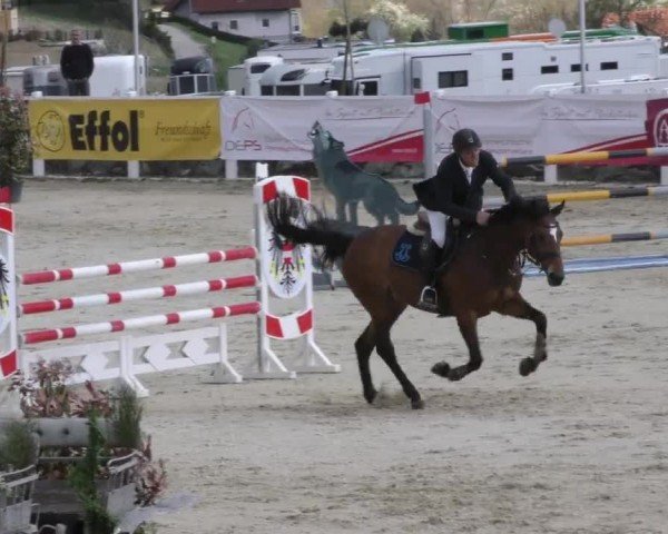 Reitturnier St. Margarethen 2022