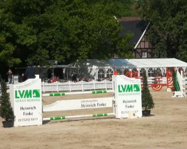 Münster-Angelmodde Dressur und Springturnier 2012