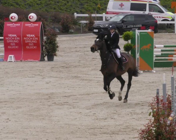 Reitturnier St. Margarethen 2022