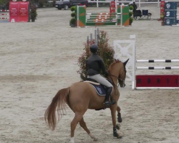 Reitturnier St. Margarethen 2022