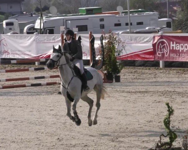 Reitturnier St. Margarethen 2022