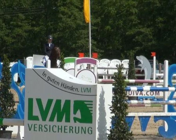 Münster-Angelmodde Dressur und Springturnier 2012