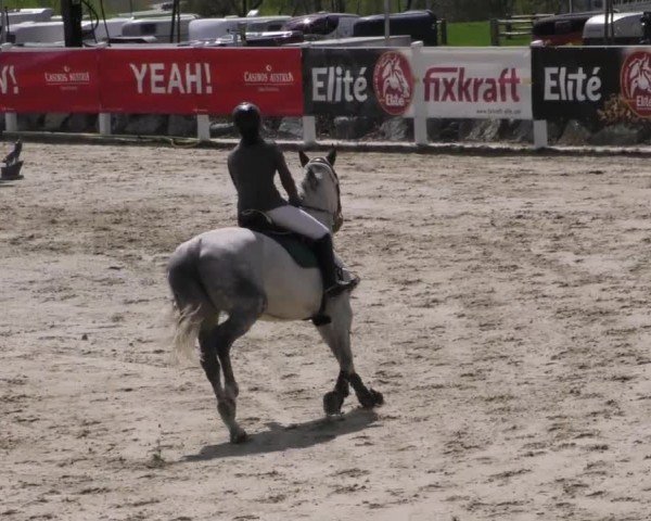 Reitturnier St. Margarethen 2022