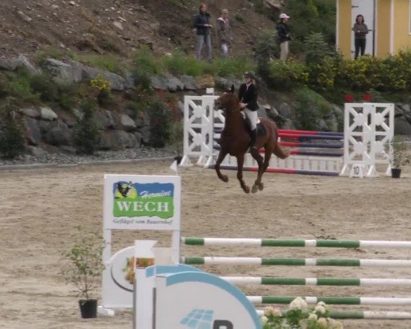 Reitturnier St. Margarethen 2022