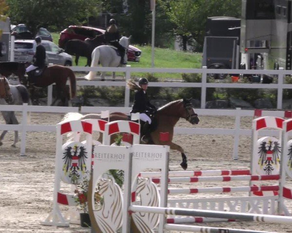 Reitturnier St. Margarethen 2022