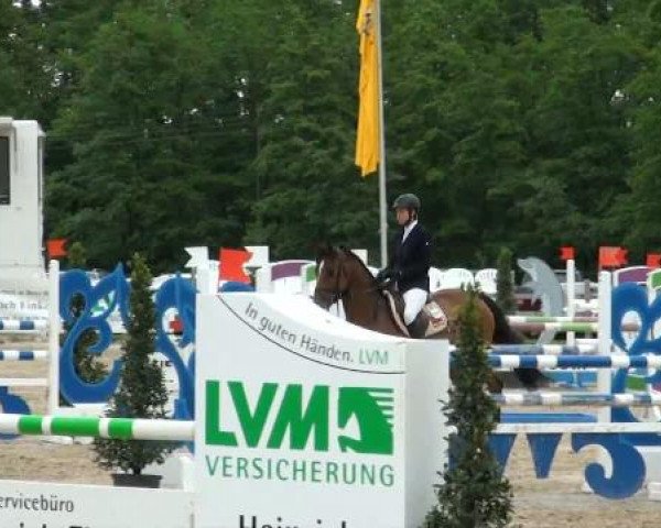Münster-Angelmodde Dressur und Springturnier 2012