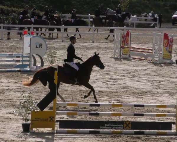 Reitturnier St. Margarethen 2022