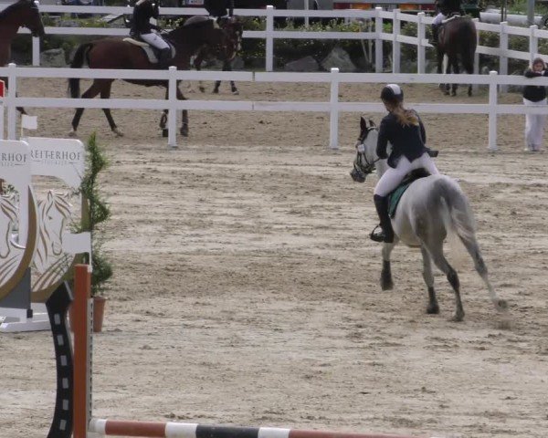 Reitturnier St. Margarethen 2022