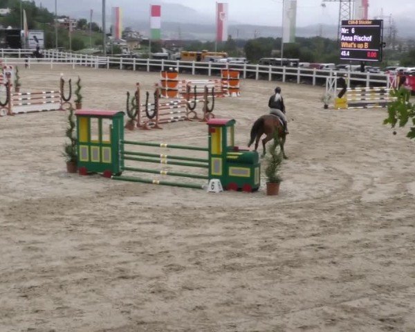 Reitturnier St. Margarethen 2022