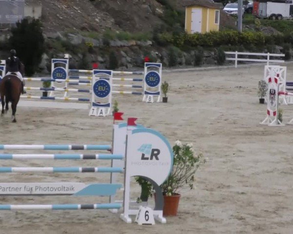 Reitturnier St. Margarethen 2022
