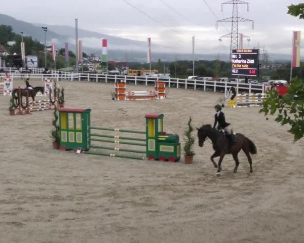 Reitturnier St. Margarethen 2022