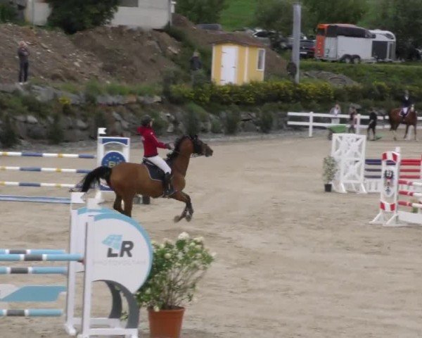 Reitturnier St. Margarethen 2022