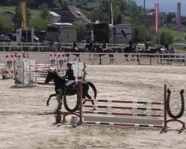 Reitturnier St. Margarethen 2022