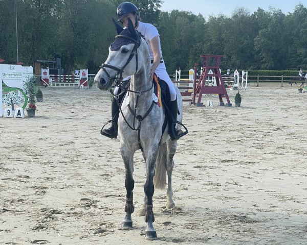 jumper C-Love GA NRW (Westphalian, 2019, from Catch)