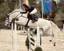 Springpferd Col's Dream W. (Deutsches Sportpferd, 2015, von Col's Cornet W)