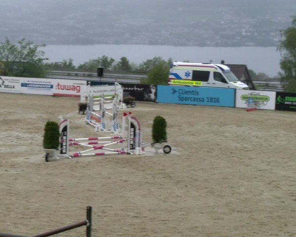 Reitturnier Wädenswil 2024