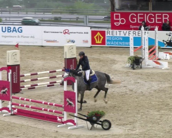 Reitturnier Wädenswil 2024