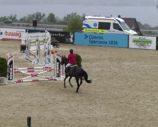 Reitturnier Wädenswil 2024