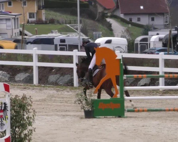 Reitturnier St. Margarethen-Stückler 2023