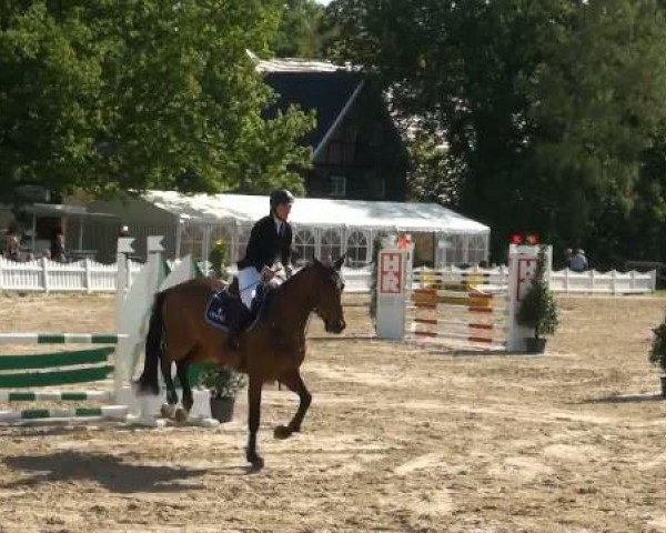 Münster-Angelmodde Dressur und Springturnier 2012