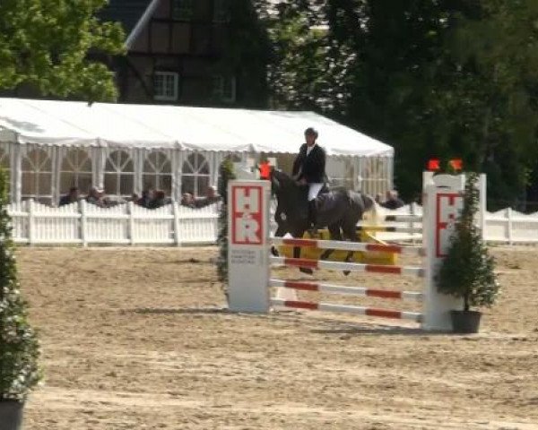 Münster-Angelmodde Dressur und Springturnier 2012