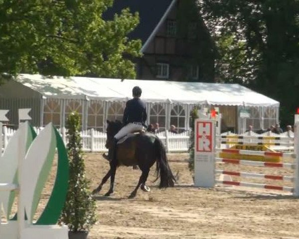 Münster-Angelmodde Dressur und Springturnier 2012