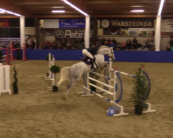 Euregio Springturnier Isterberg 2021