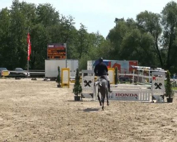 Münster-Angelmodde Dressur und Springturnier 2012