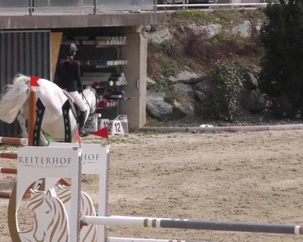 Reitturnier St. Margarethen-Stückler 2023