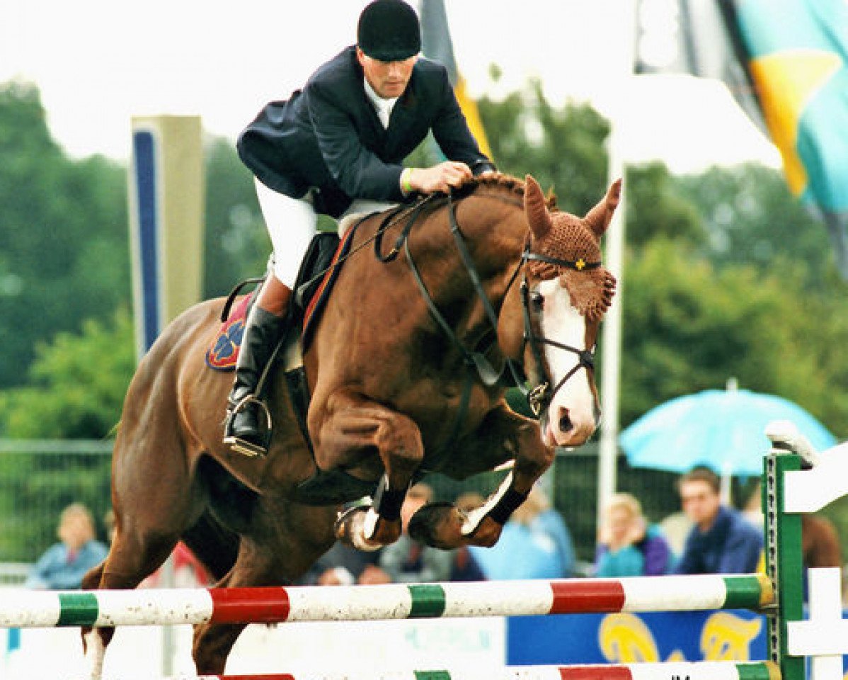 stallion Aldatus Z (Oldenburg, 1985, from Aldato)