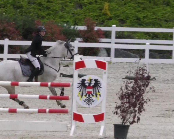 Reitturnier St. Margarethen-Stückler 2023