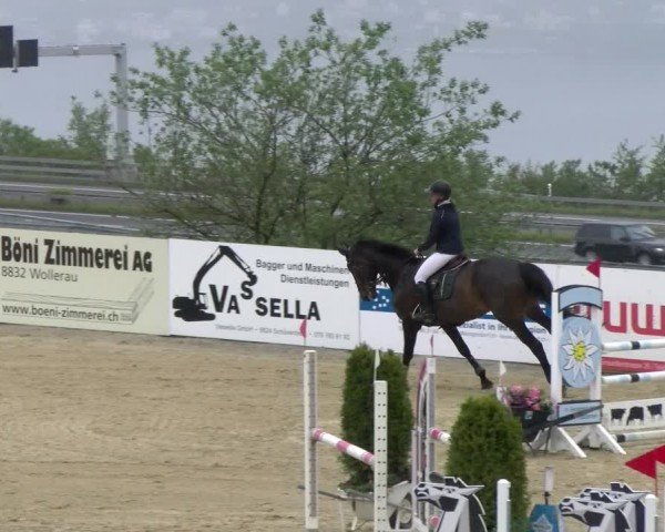 Reitturnier Wädenswil 2024
