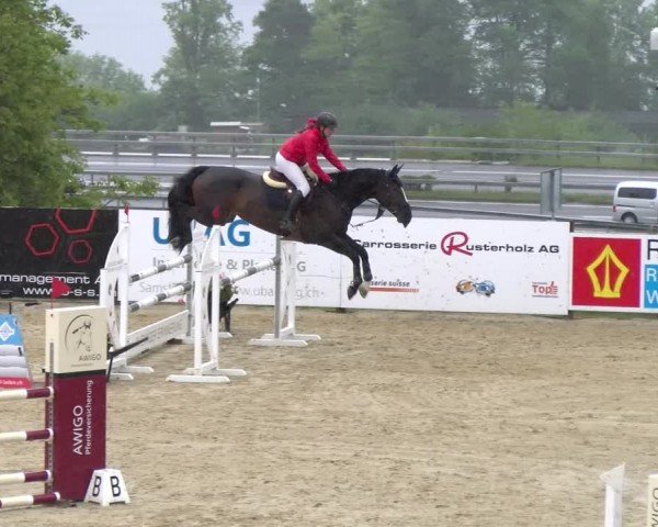 Reitturnier Wädenswil 2024