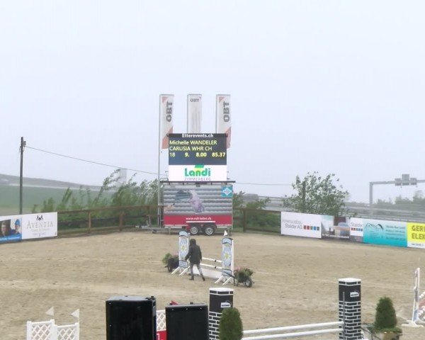 Reitturnier Wädenswil 2024