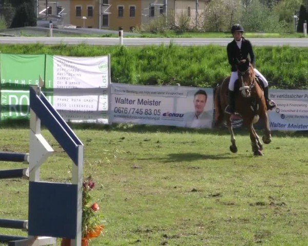 Reitturnier Friesach 2023