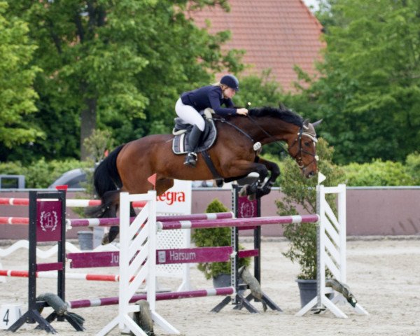jumper Gonzo Em (Hanoverian, 2014, from Gem of India)
